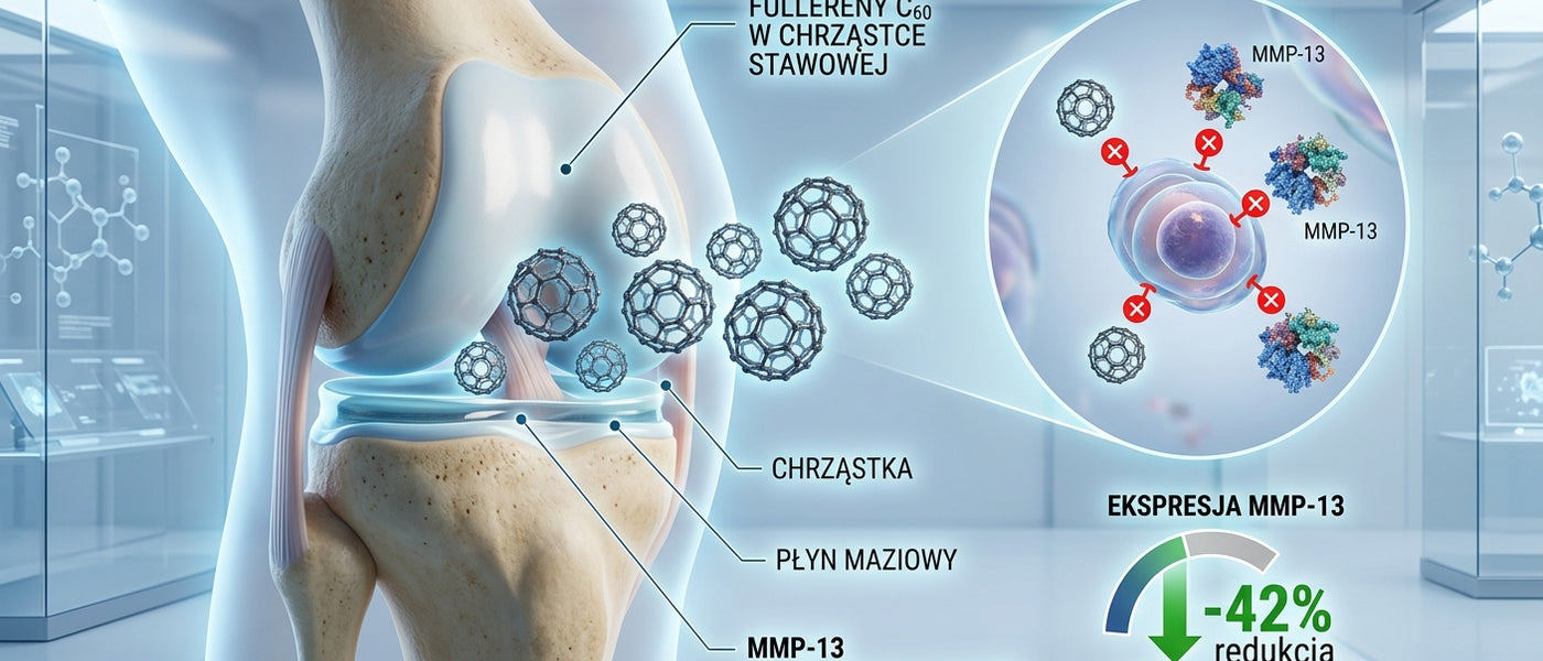 🛠 <b>Fullereny w stawach: czy suplement C60-olej z oliwy naprawdę łagodzi zapalenie? Rozbieramy produkt Carbon60 OliveOil</b> 💊