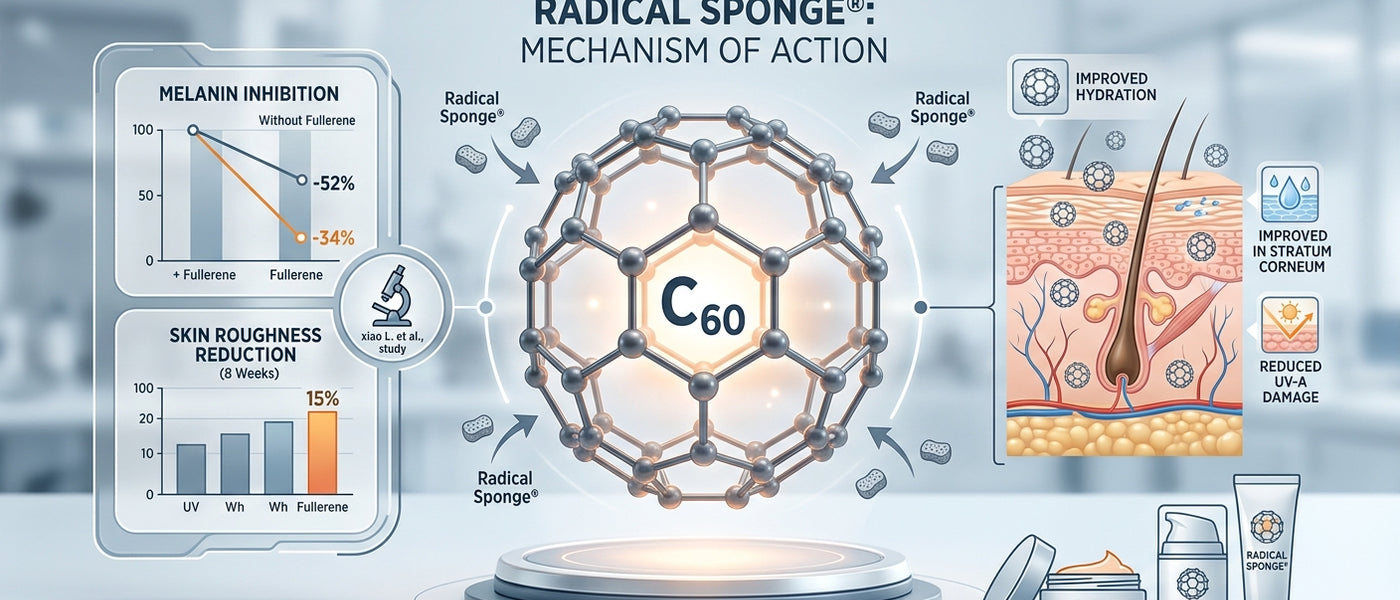 🛠 <b>C60 w ochronie skóry: czy krem z fullerenem Radical Sponge® naprawdę spowalnia starzenie?</b> 🧴